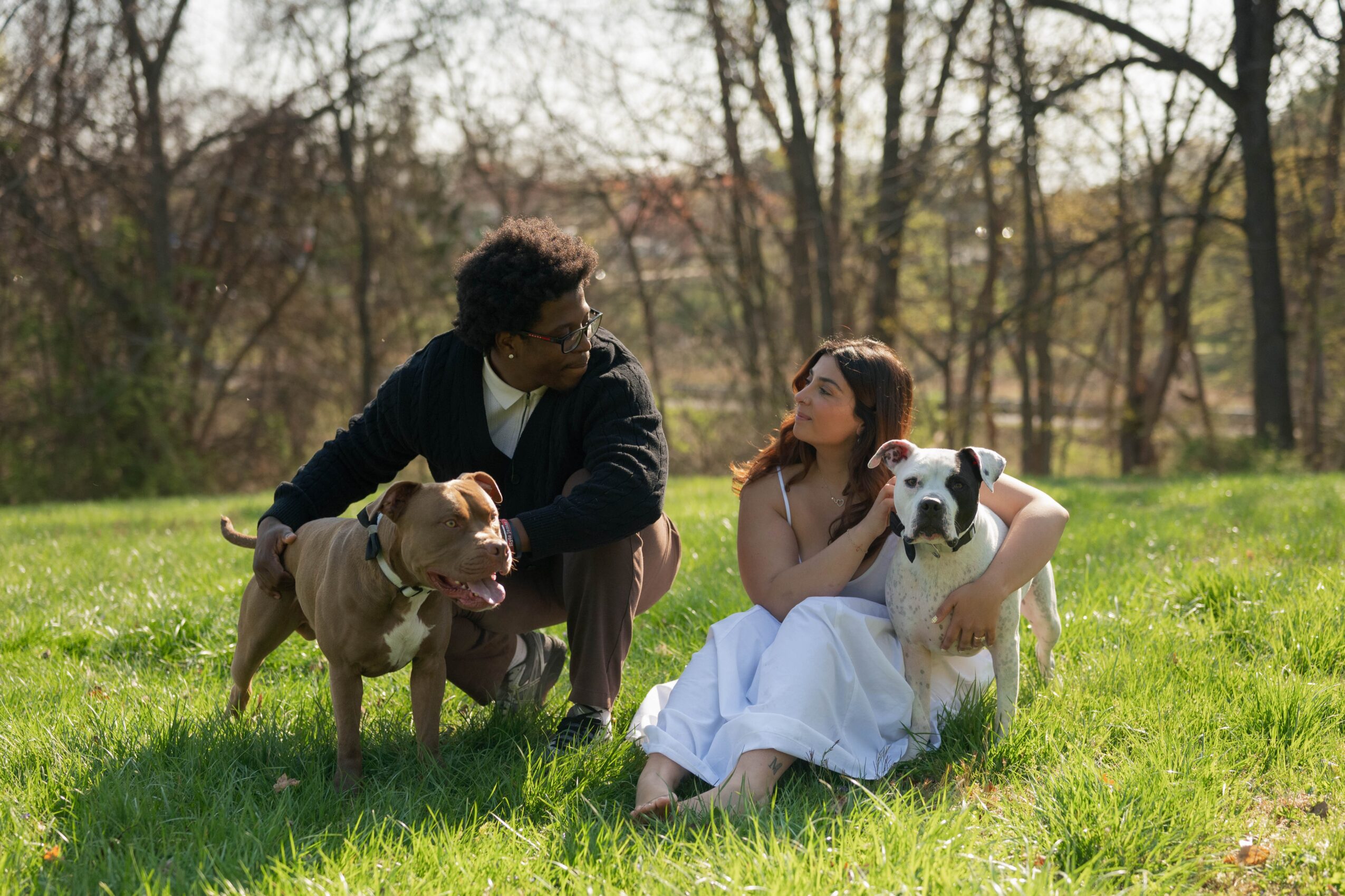 Two people sitting on grass with two dogs, trees in background, sunny day.