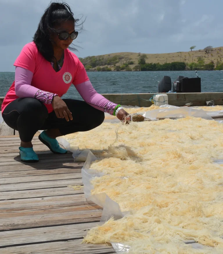 Woman crouching on a wooden dock, reaching towards a large yellowish substance spread on a surface near water, with hills in the background.