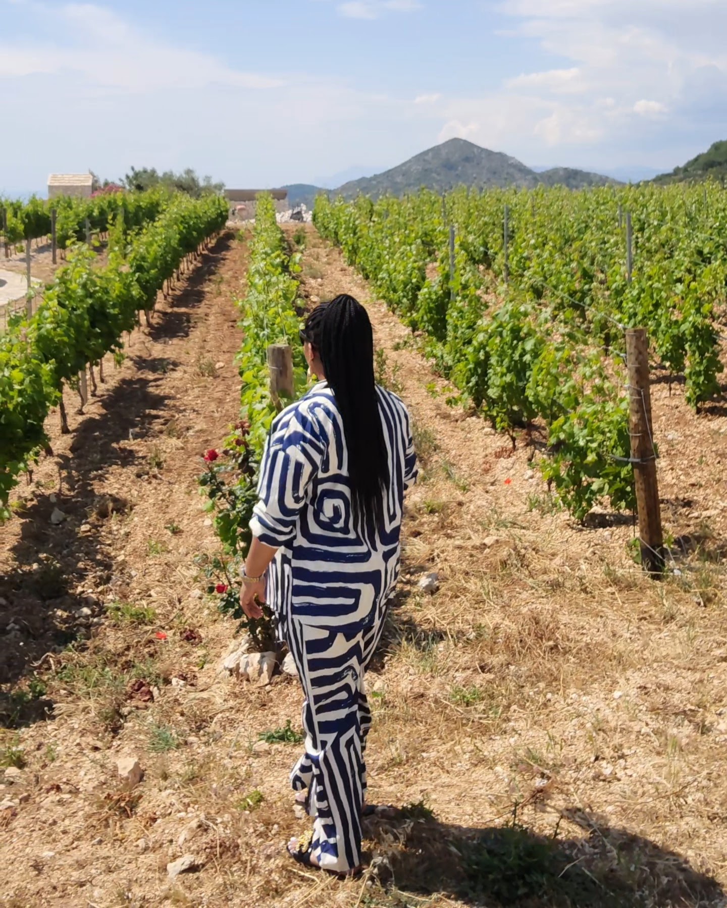Person with long dark hair wearing a blue and white patterned outfit walking through a vineyard with rows of grapevines, mountain in background