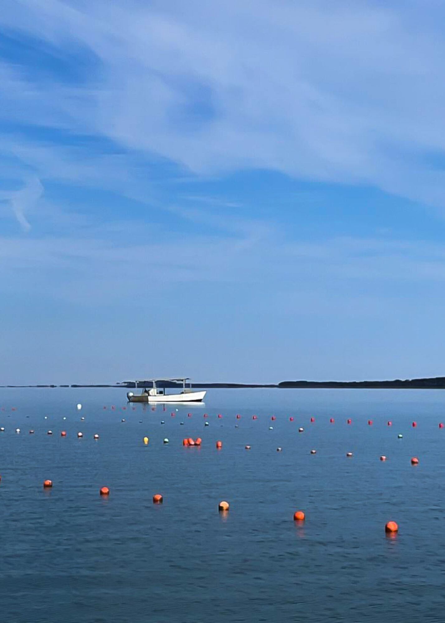 Boat on calm water with buoys, sky with clouds, and distant shoreline.