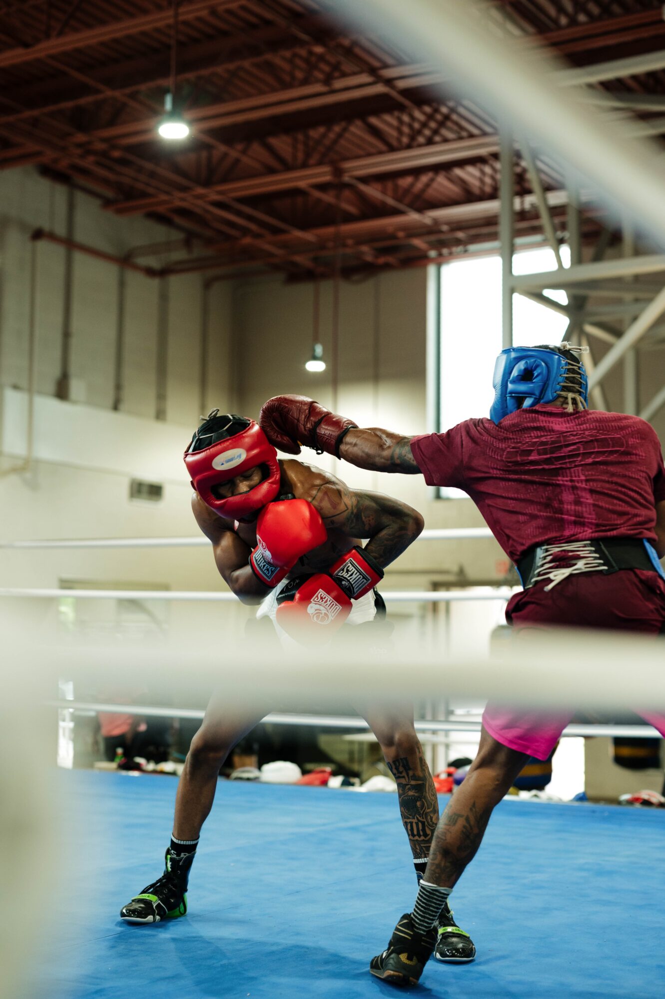 Two young male boxers in protective gear sparring in a boxing ring indoors, with one delivering a punch to the other's face.