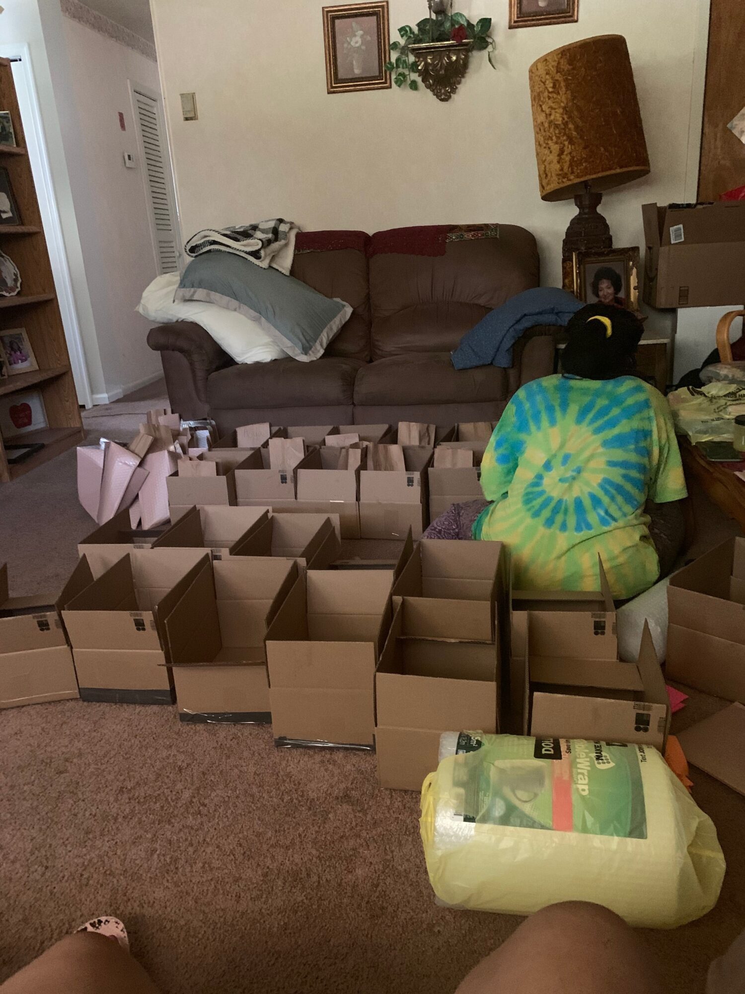 Living room with cardboard boxes, a sofa with pillows, and a tie-dye blanket on a chair, carpeted floor, and wall decorations.
