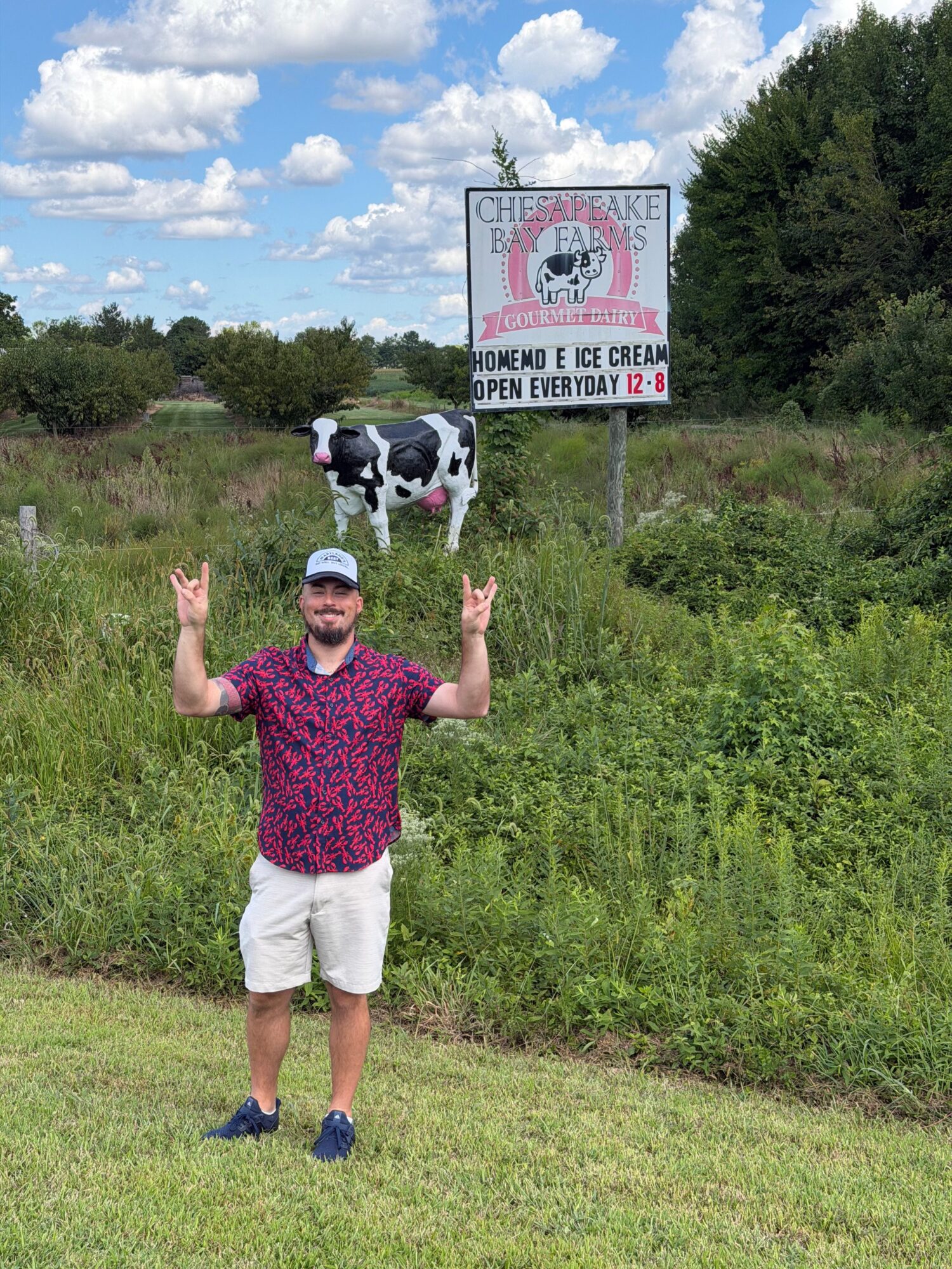 Person standing on grass holding up peace signs, wearing a pink shirt, white shorts, and a cap, with a cow and sign in background.