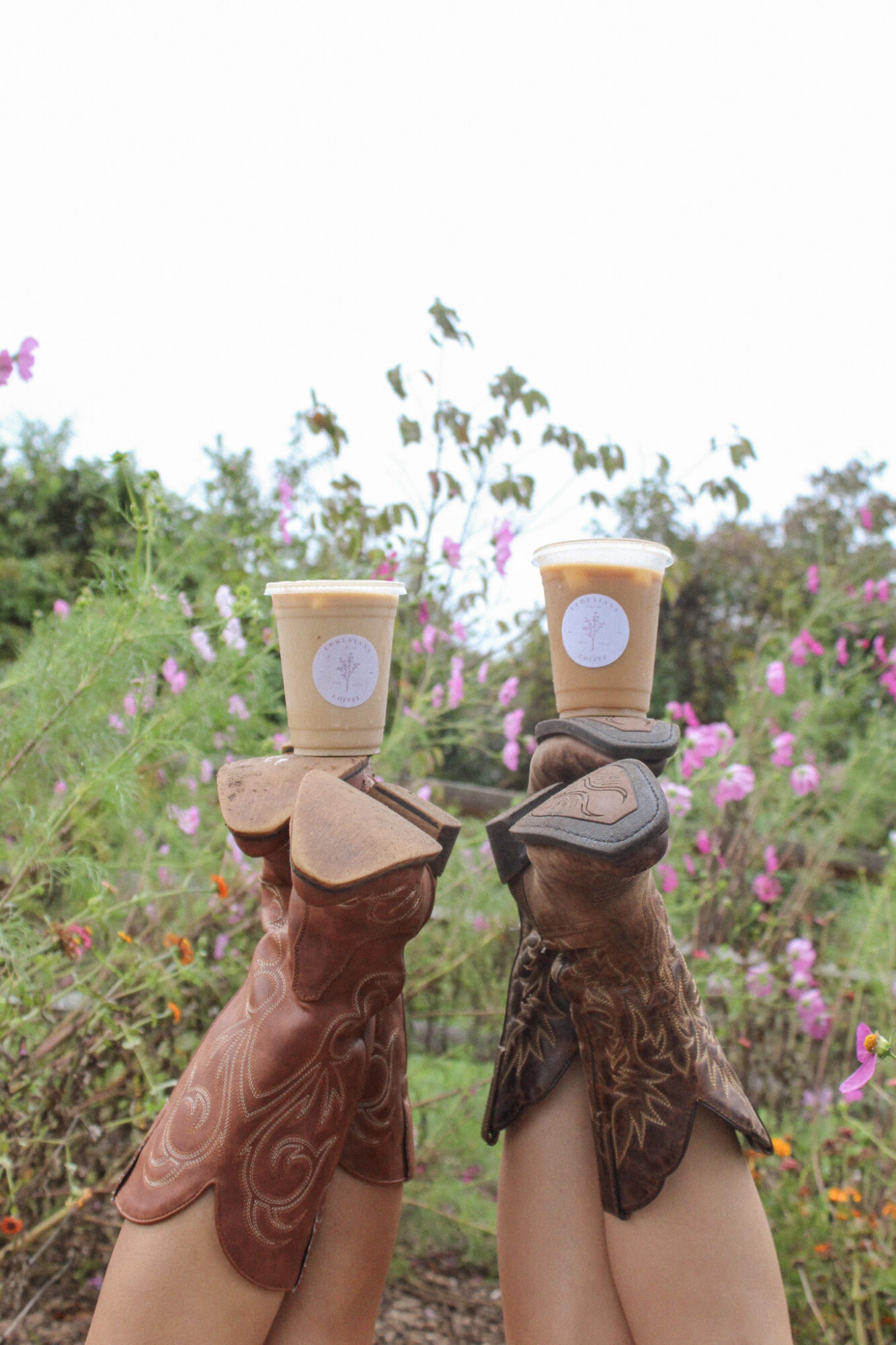 Two gloved hands hold cups of coffee above a garden with pink and purple flowers, bright sky background.